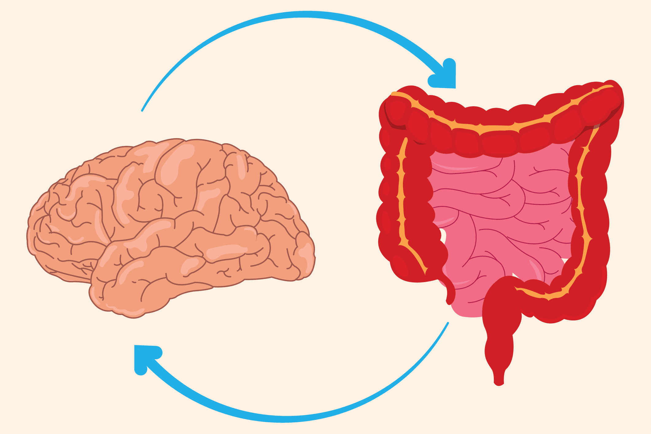 🧠 Is Your Gut Secretly Messing With Your Mood? Here’s What Science Says