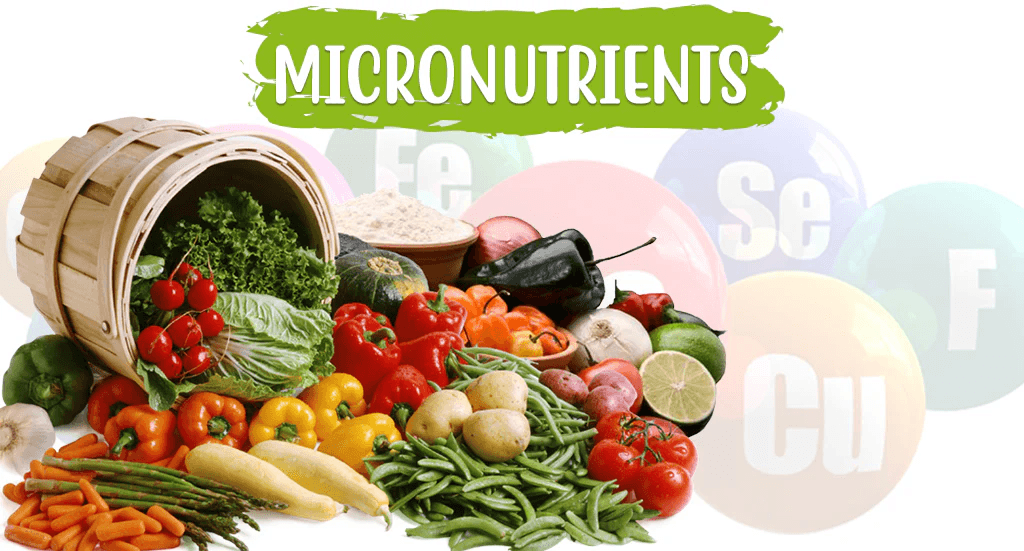 What Are Micronutrients? Importance, Types, Examples & Benefits Explained