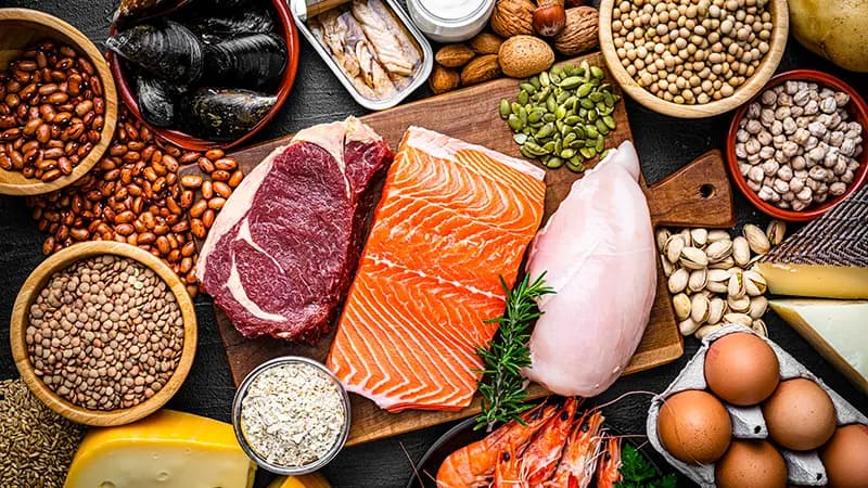 Is too much protein harmful?